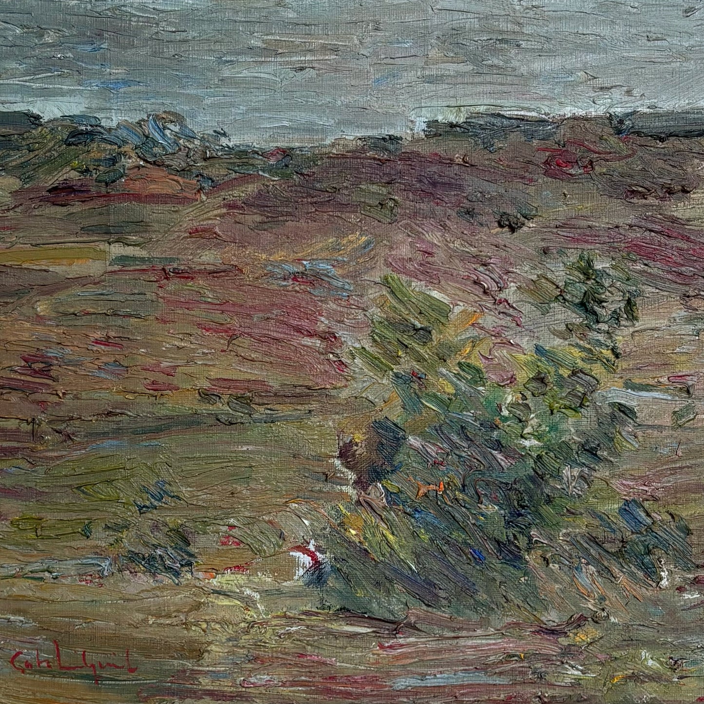 Moorlands
