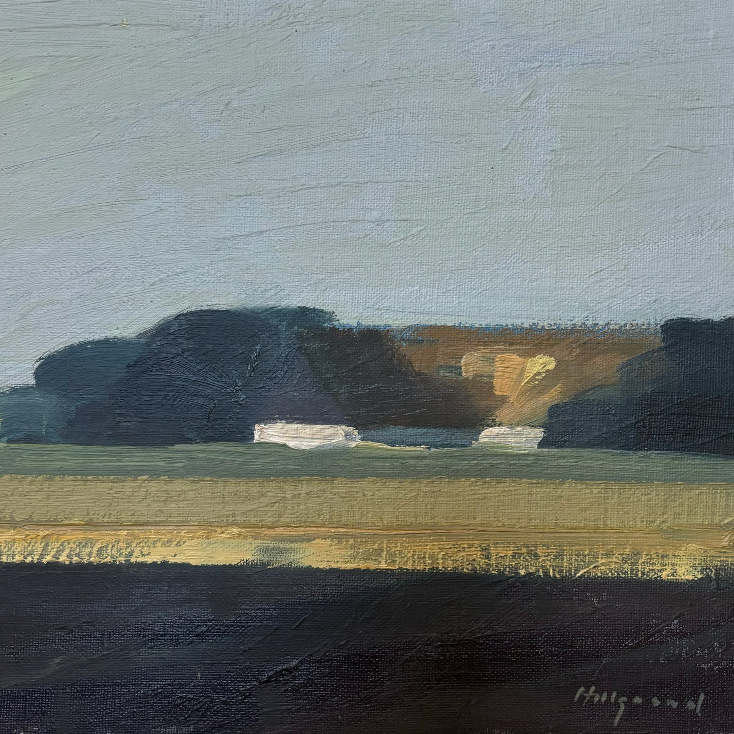 Rapeseed Fields